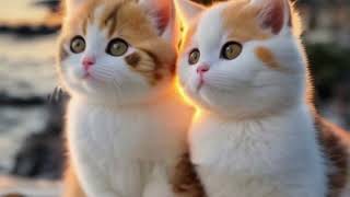 Purrfectly Precious: Little Cute cats 🐈🐈