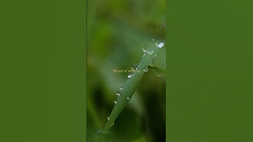 Change How You See the World – The Art of Noticing 🌍👀