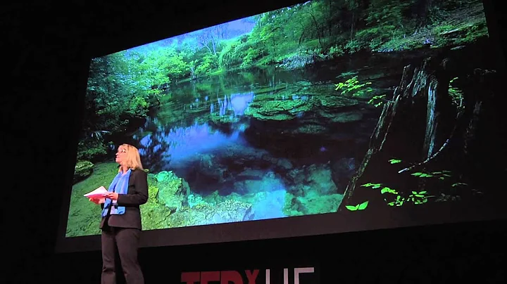 TEDxUF - Cynthia Barnett - Hypertext and Florida's Springs