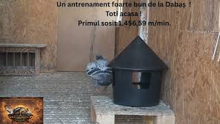 Primul sosit de la Etapa 2 Dabas ! Un antrenament foarte bun.Toți acasă ! 
