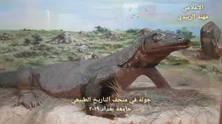 جولة في متحف التاريخ الطبيعي في جامعة بغداد ٢٠١٩