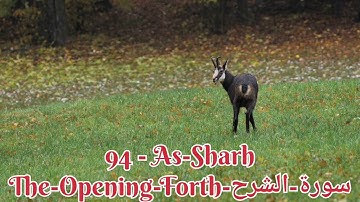 94 - As-Sharh-The-Opening-Forth-سورة-الشرح