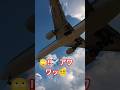 🙄‼️✈️アワワッ😵‍💫