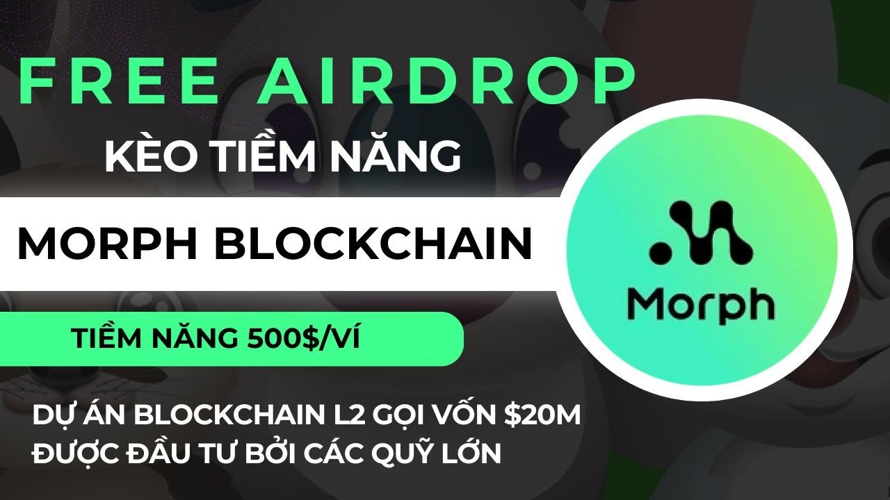 Hướng dẫn Faucet Morph Blockchain tiềm năng 500$ ví