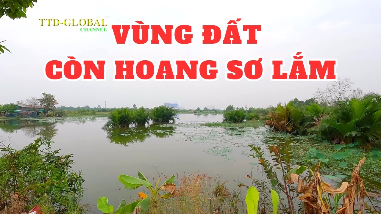 Khám phá xã Phong Phú Huyện Bình Chánh Sài Gòn