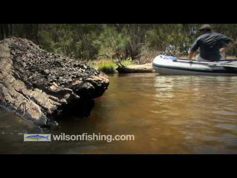 Mick and Scotty catch a big Murray River Cod on the new WIlson "Slickback" Lure in the small town of Bonshaw on the Queensland and New South Wales boarder.