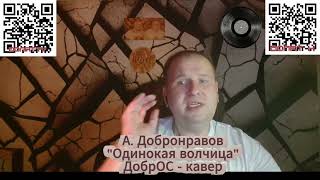А. Добронравов "Одинокая волчица" ДобрОС кавер  #vocalcover #музыка #песня