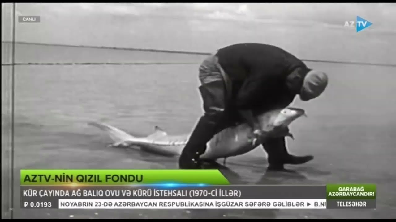 Kür çayında balıq ovu (1970-ci illər) - AzTV-nin Qızıl Fondu