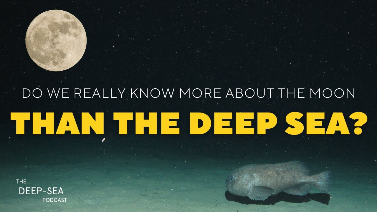 Do we really know more about the moon than the deep sea? - YouTube