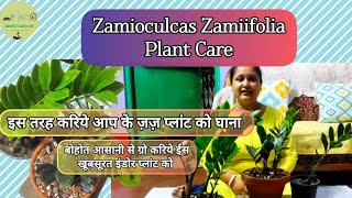 ZZ Plant Care | जीजी प्लांट के बारेमे पूरी जानकारी | Complete Guide to Grow ZZ Plant