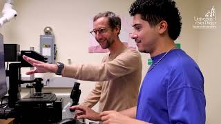 Department Of Physics And Biophysics At Usd