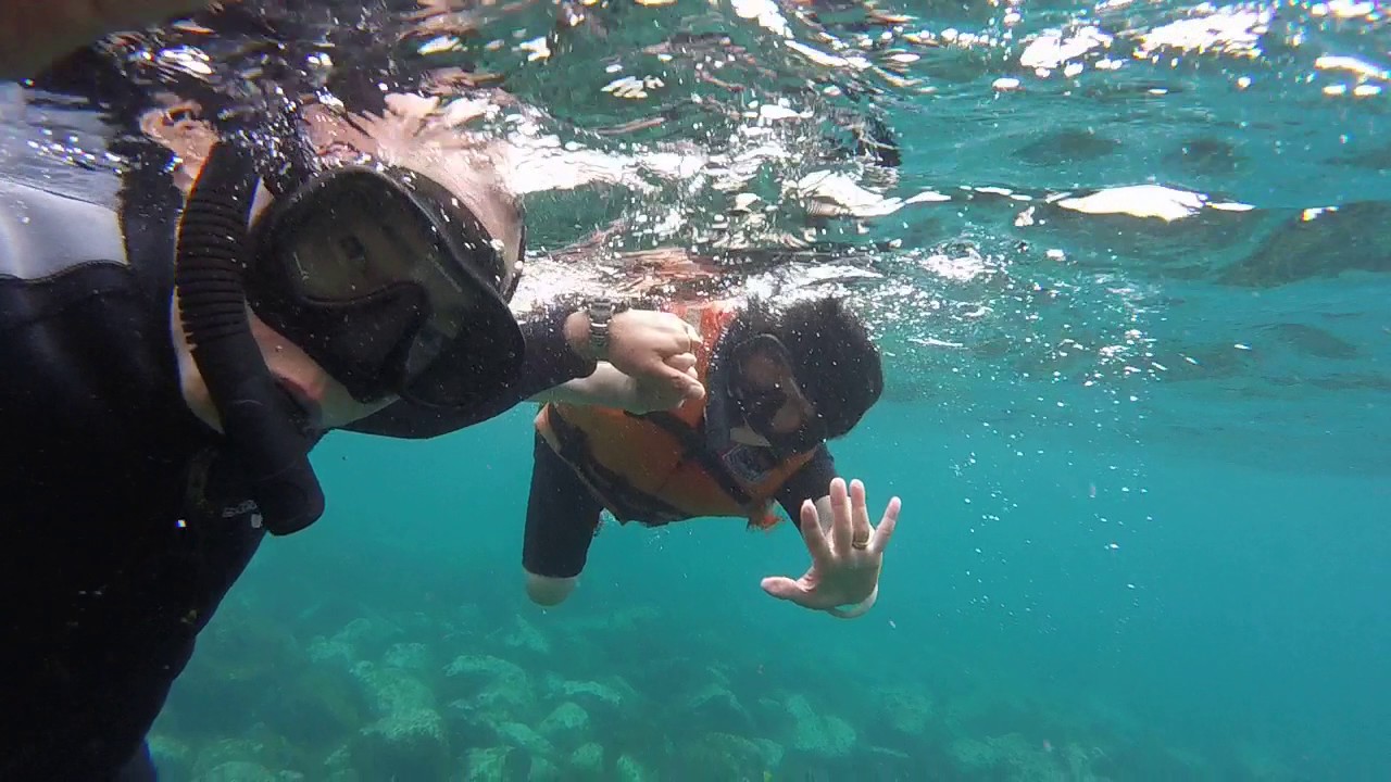 Snorkeling 1, Galapagos Islands YouTube