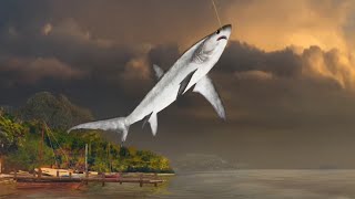 Beautiful Fishing In Madagaskar - Fishing Clash Gameplay Ep434 screenshot 5