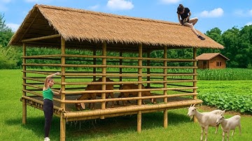 TIMELAPSE - Building a Cool Bamboo Goat Pen for Summer – The Journey of the New Farm
