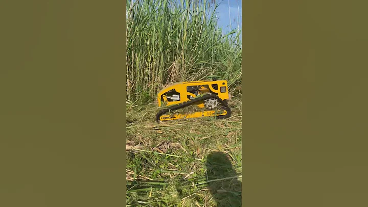 Cheap price 500 mm red color remote lawn mower cutting grass