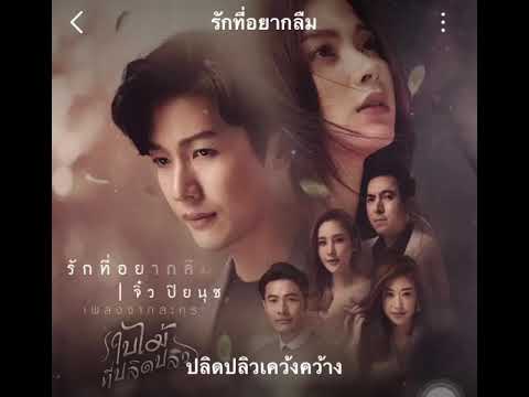 รักที่อยากลืม-จิ๋ว ปิยนุช(คาราโอเกะ)