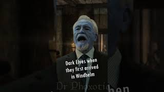 Dark Elves when they first arrived in Windhelm