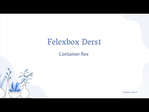 Video: Flexbox kapsayıcı nedir?