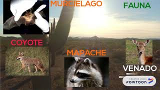 Regiones Naturales de México