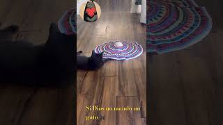 Los 🐕son seres indefensos pero Dios nos dio para curar el alma adopta #reflexionesdeldia🐈‍⬛❤️