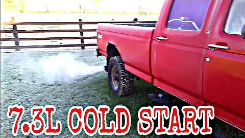 BONE STOCK 7.3L POWERSTROKE COLD START!! 1997 FORD F-350 CCLB OBS MILD COLD START!!