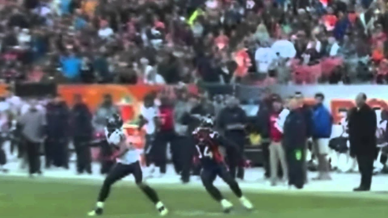 Brandon Lloyd 2010 Highlights