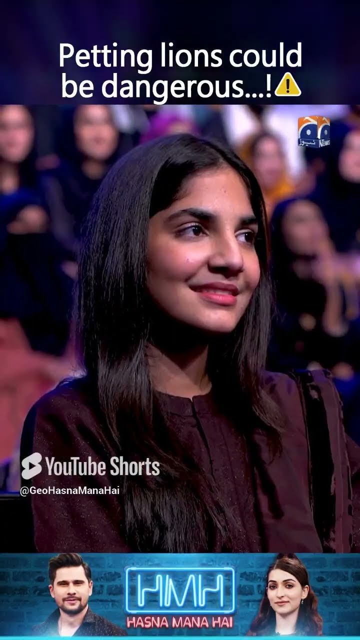 Petting Lions could be dangerous - #areejchaudhary #tabishhashmishow #hasnamanahai #shorts