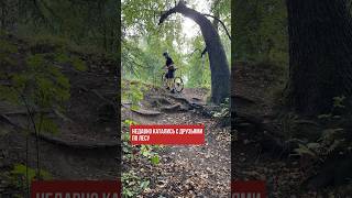 Как съехать на велосипеде со страшного склона в лесу? #горныйвелосипед #гравийныйвелосипед