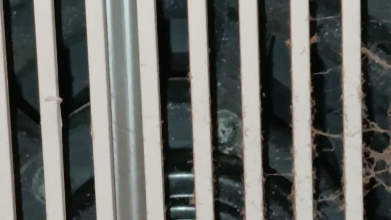 Season 22 Videos 691