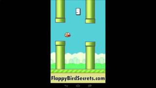Flappy Bird Secrets - #1 Game Worldwide screenshot 4