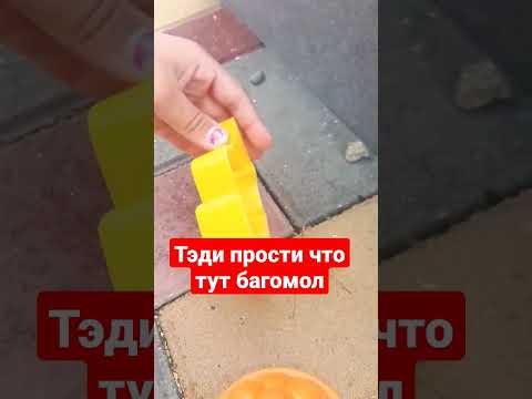 багомол - YouTube