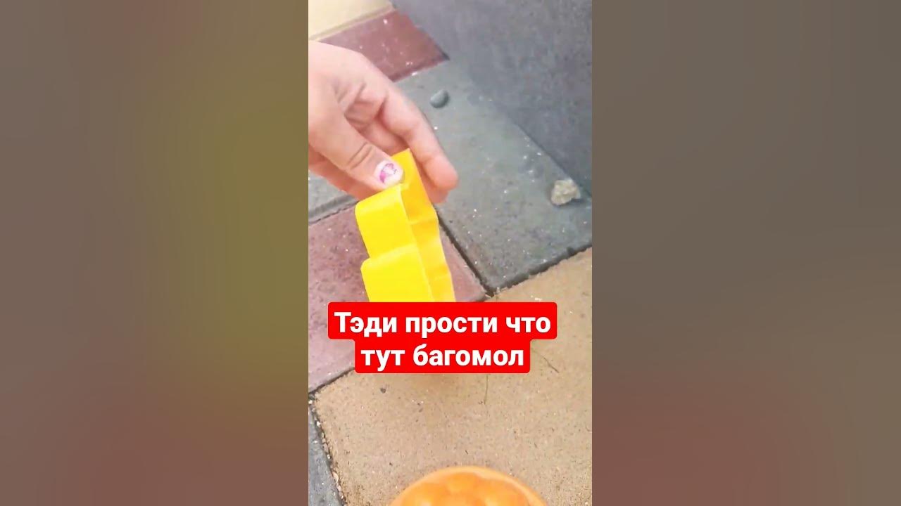 багомол - YouTube