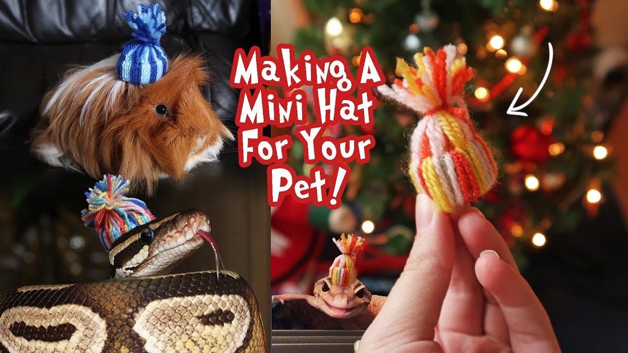 Super Easy DIY Christmas Winter Pet Hat Tutorial!!