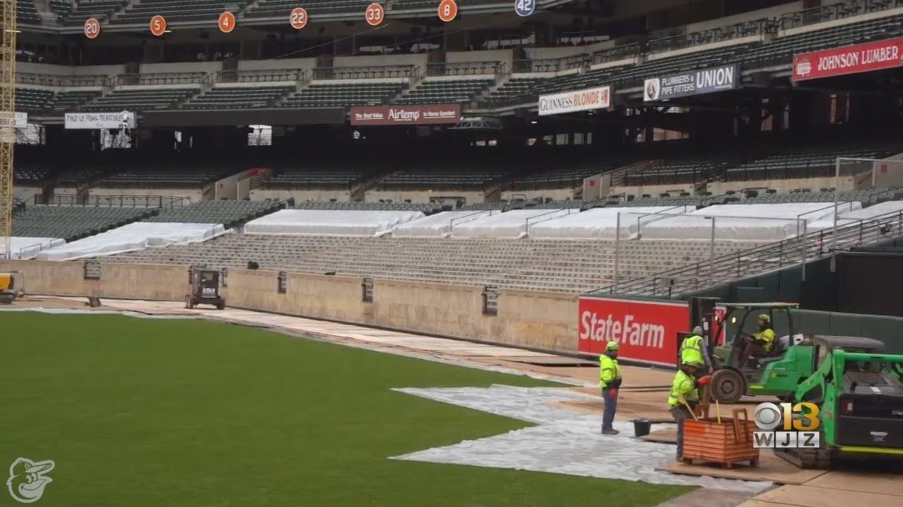 Oriole Park At Camden Yards Interactive Seating Chart Matttroy