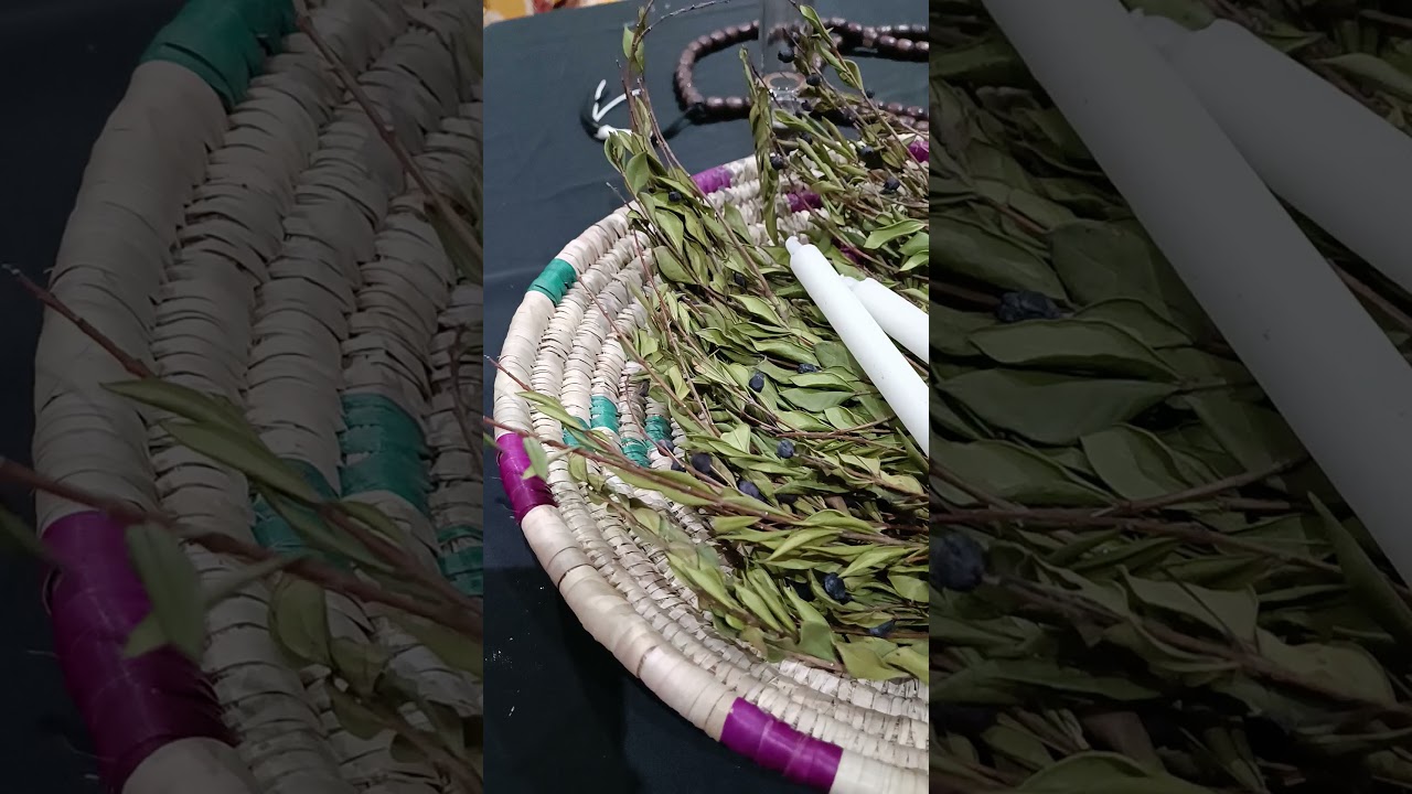 سيدي ميمون🖤