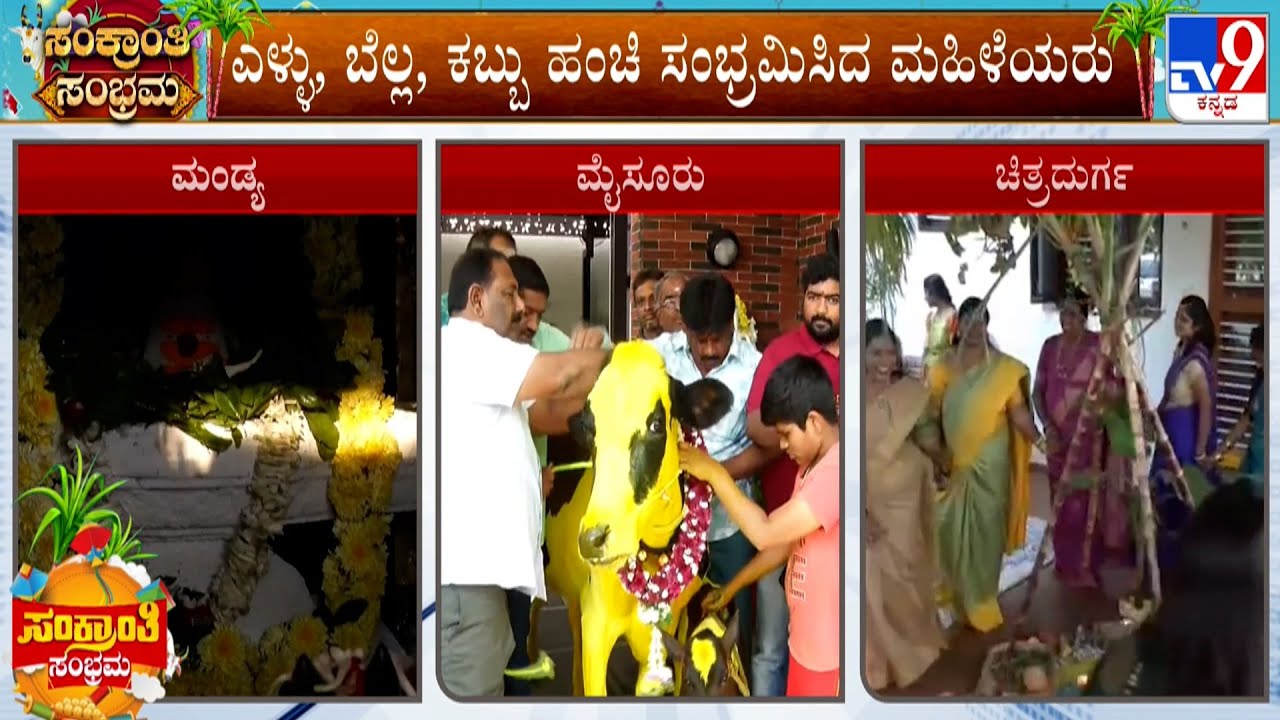 Makara Sankranti Celebrations Across Karnataka | DK Shivakumar | Gavi Gangadhareshwara Sunrays 2026