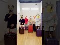 いざ札幌へ✈️ 【4/29札幌共済ホール】#shorts