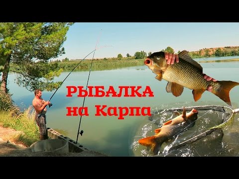 карп рыбалка 2016