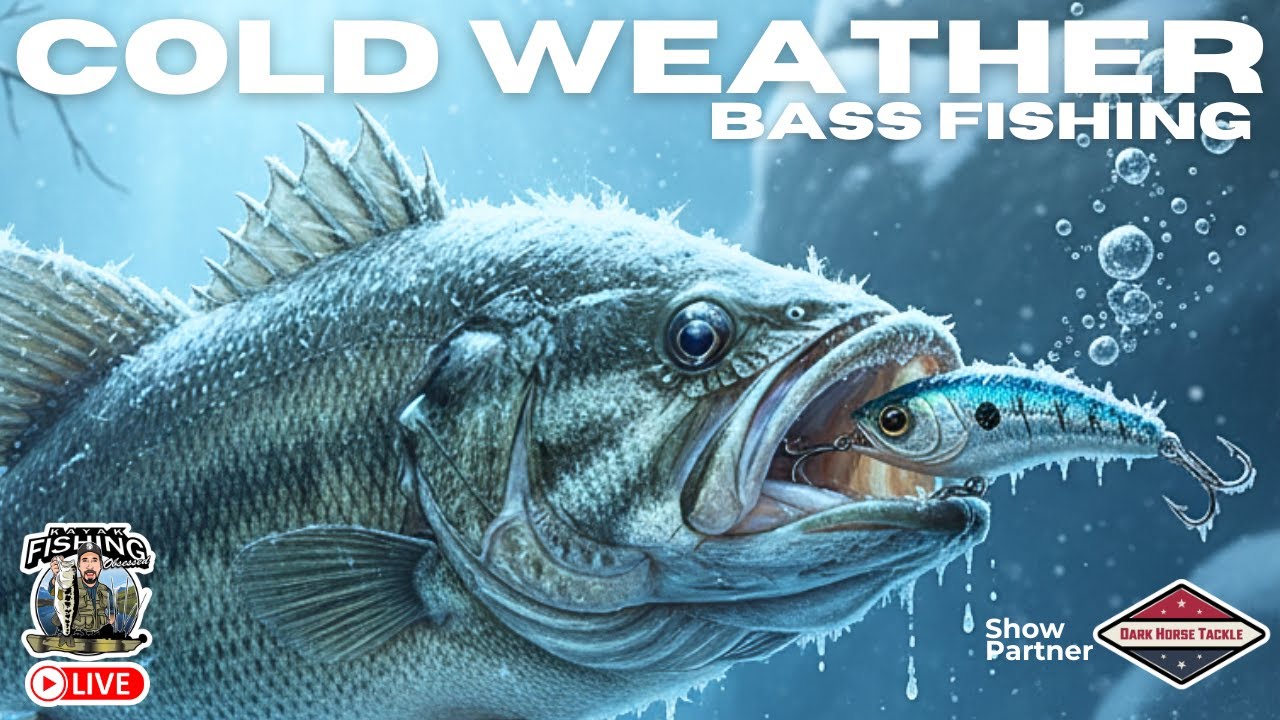 The Cold Water Bass Blueprint (Proven Winter Tactics) 📱