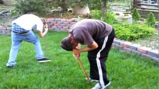 Drunken Dizzy Bat.mp4