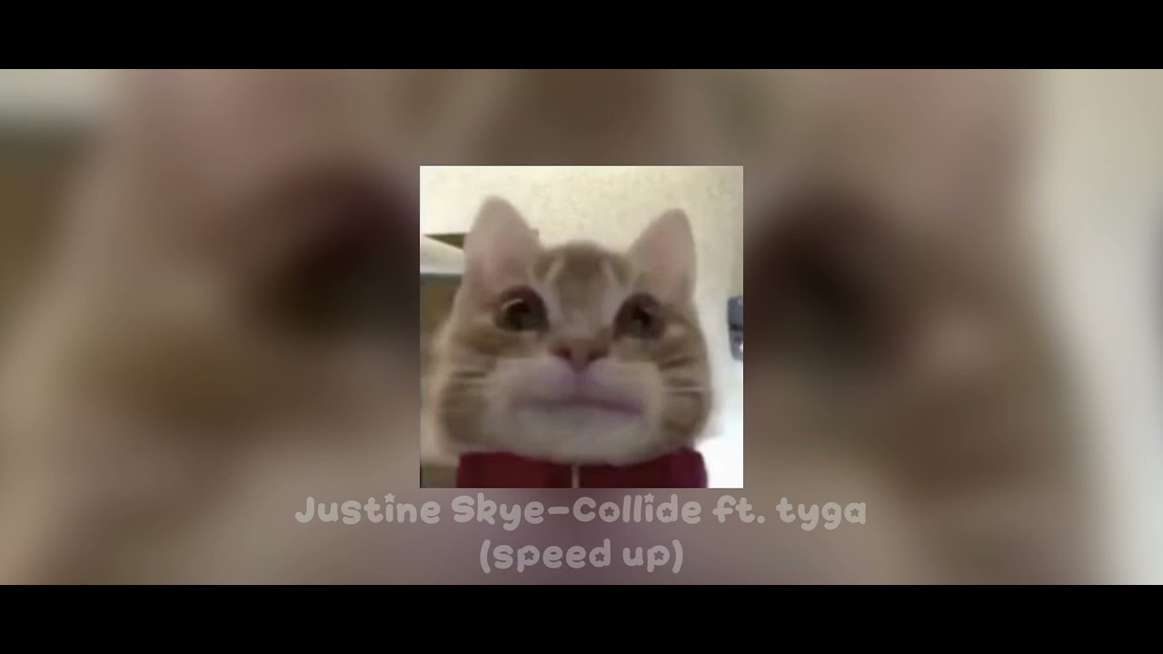 ~`𝐉𝐮𝐬𝐭𝐢𝐧𝐞 𝐒𝐤𝐲𝐞-𝐂𝐨𝐥𝐥𝐢𝐝𝐞 𝐟𝐭. 𝐓𝐲𝐠𝐚[𝐬𝐩𝐞𝐞𝐝 𝐮𝐩]`~