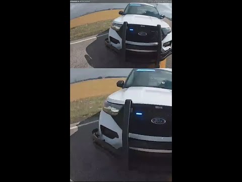 Body cam video shows moment stolen Bud Light semi crashes into a deputy’s cruiser