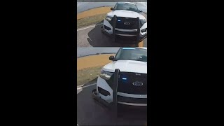 Celebrity Body cam video shows moment stolen Bud Light semi crashes into a deputy’s cruiser Wealth