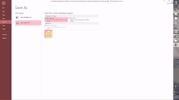 Access Guided Project 3-1