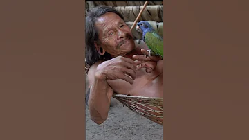 Waorani Tribal Man And His Pet Parrot Shorts Waorani Ecuador Tribe Amazonjungle Jungle 