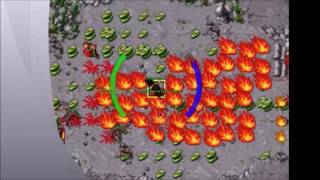 Danera - Wyvern Edron (Matando Bot)