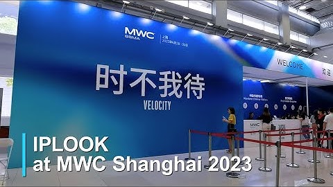 IPLOOK was buzzing with energy at MWC Shanghai 2023  | IPLOOK
