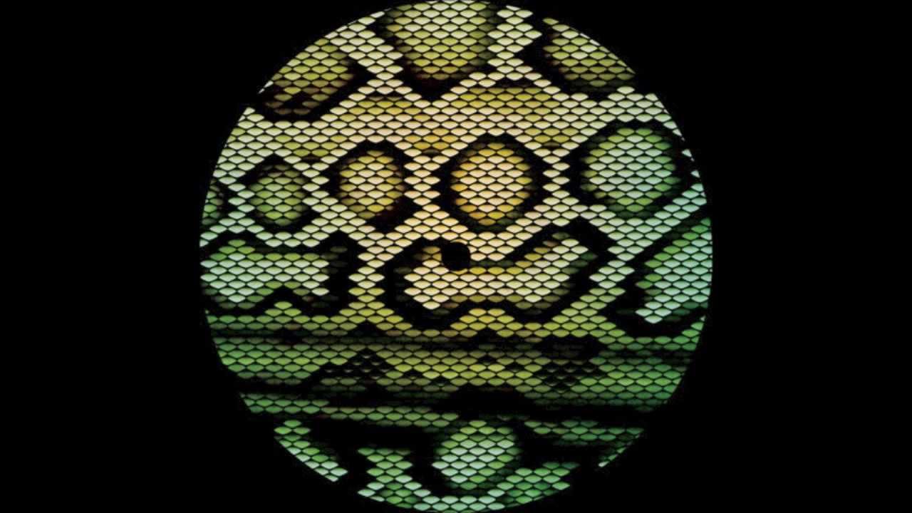 LV & Okmalumkoolkat: Zharp (Hyperdub 2010)