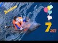 Центр плавания с дельфинами Москвариума — уникальное место