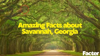 Revealing the Most Surprising Things About Savannah, Georgia You'll NEVER Guess! | savannah Georgia